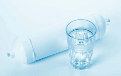 Come l’acqua filtrata aiuta la digestione: benefici quotidiani per il tuo benessere