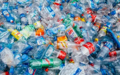 Emergenza plastica: come cambiare abitudini partendo dall’acqua che bevi
