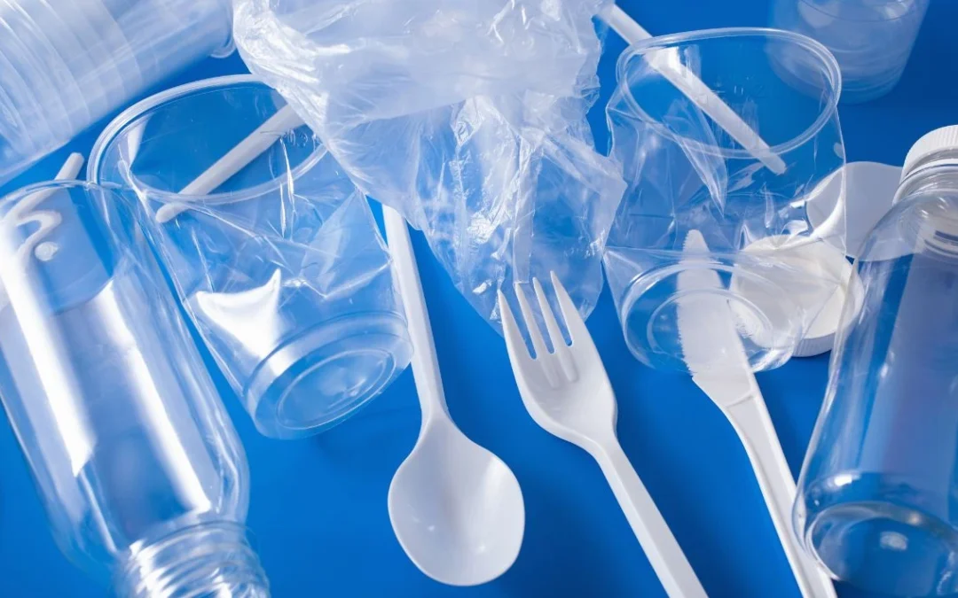 Bottiglie di plastica monouso: l’impatto nascosto sull’ambiente e sulle tue tasche