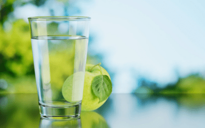 Riflessioni di Fine Anno: Quanto Hai Risparmiato e Migliorato l’Ambiente?