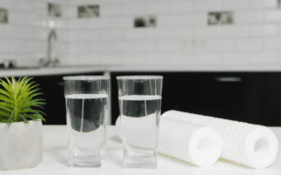 Perché iniziare l’anno con un depuratore d’acqua?