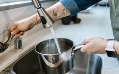 Il ruolo dell’acqua nella cucina gourmet