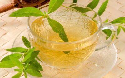 L’arte degli infusi e delle tisane: l’acqua fa la differenza