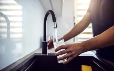 Proteggere gli Elettrodomestici con l’Acqua Filtrata: Lavatrice, Lavastoviglie e Ferro da Stiro
